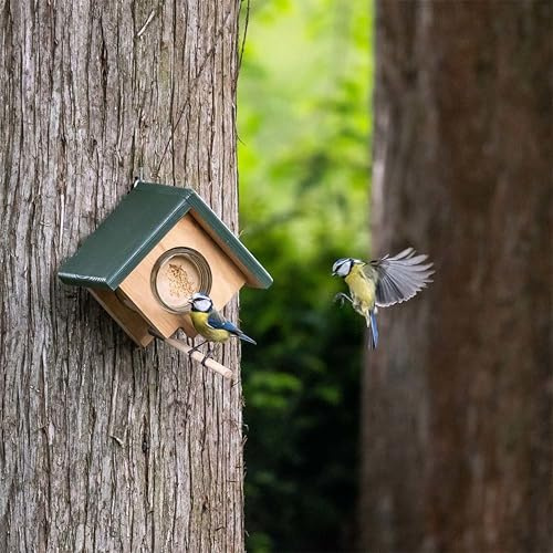 CJ Wildlife Erdnussbutterhaus – Vogelhaus zum Aufhängen – Für kleine Vögel bis 20 g – Holz FSC® 100% Braun/Grün – Ganzjährig Vogelfutterspender