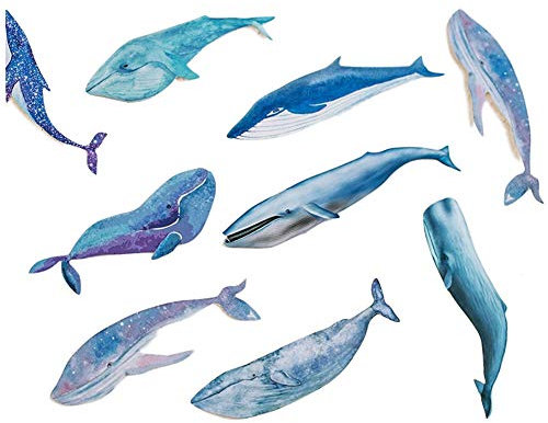 1 Satz Wal Fisch-Papier Lesezeichen Briefpapier Lesezeichen Buchhalter Mitteilungs-Karte School Supplies Papelaria
