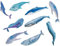 1 Satz Wal Fisch-Papier Lesezeichen Briefpapier Lesezeichen Buchhalter Mitteilungs-Karte School Supplies Papelaria