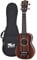 VOLT by Voggenreiter Ukulele Zebrano, Größe: Concerto, laminierte Decke Mahagoni, Griffbrett: Palisander, edle Lackierung, auffallenden Zebrano-Maserung, Länge: 600 mm, inkl. gefütterte Tasche