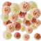 Palla di Fiori di Carta, 24 pon pon carta velina, Pompon in Carta Velina Decorativo, Decorazione Pompon, Carta Palla Fiore, per Decorazioni di Nozze, Rosa Nudo, Radice di Loto, Beige