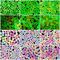 nbeads Über 600 Stück Leuchtende Acrylperlen, Glow In The Dark 6 Styles Verschiedene Bunte Lose Acrylperlen Für Die Schmuckherstellung