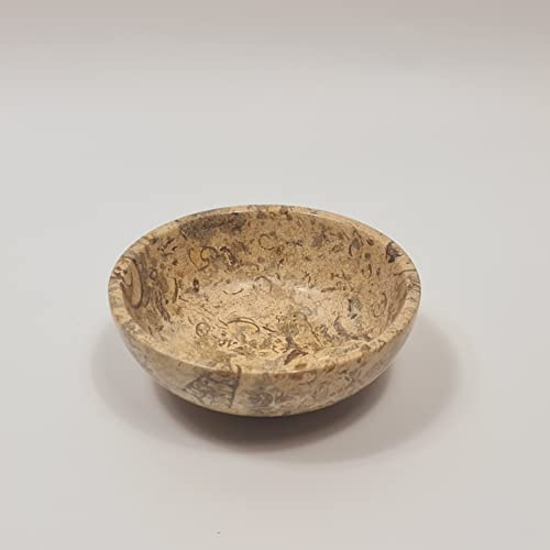 SPEXXI Fossil/Coral Bowl - Marble Fossil Crystal Bowl in Multiple Sizes Perfect for Gifts & Home Decoration (6 inch)