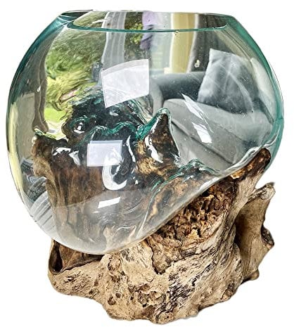 Darthome Molten Glass 25cm Bowl On Teak Root Stand Large Rustic Wood Ornament Sculpture