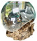 Darthome Molten Glass 25cm Bowl On Teak Root Stand Large Rustic Wood Ornament Sculpture