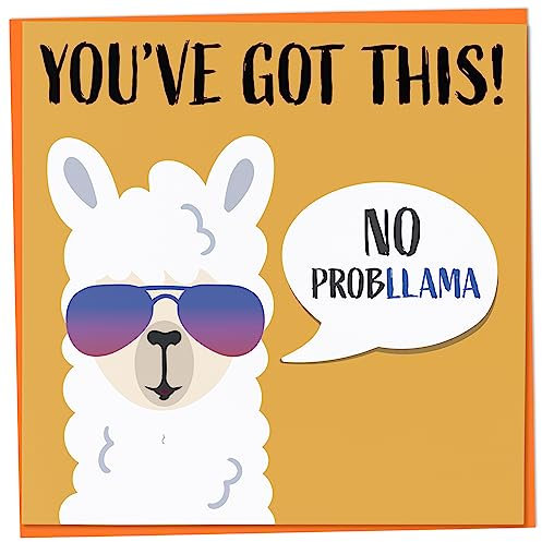 Good Luck Card In Your Exams or New Job Interview, No Probllama You've Got This, Good Luck Card for Friend, Leaving Card for Colleague, Job Promotion Card