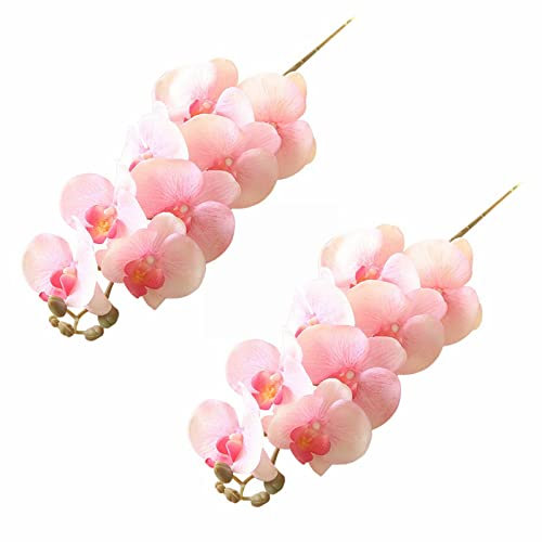 Girlande Balkon Outdoor Hohe Simulation Chinesische Phalaenopsis Hochzeit Kunst Heimtextilien Hotel Dekoration Künstliche Blumen 2St Küchen Töpfe Set (C, One Size)