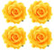 4pièces Épingle À Cheveux Fleur Rose Lot De Accessoires De Coiffure Pour Fête Hawaïenne Mariage Voyage Jaune