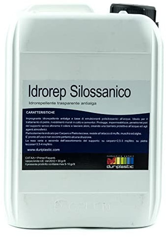 Italia colorpaint Idrorep Impregnante Antialga Idrorepellente Silossanico Trasparente per Pietra Muro Cemento (Litri 1)