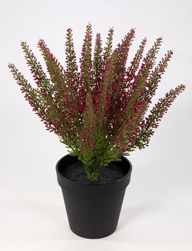 Erika/Heidekraut künstlich 32x28cm im Topf DP Kunstpflanzen Kunstblumen künstliche Blumen Pflanzen Erikabusch 100% PE Kunststoff (Fuchsia)