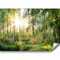 murando - Fototapete Selbstklebend Wald 294x210 cm - Foto Tapete Tapetenfolie Möbelfolie Wandverkleidung Wandtapete Motivtapeten Wohnzimmer Schlafzimmer 3d Effekt Modern - Bäume c-C-0032-a-b
