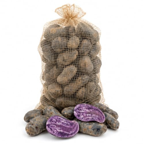 Kartoffel Violetta festkochende deutsche Speisekartoffeln blau-violette Kartoffel Ideal für Kartoffelsalat Salzkartoffel Gratin.... (8)
