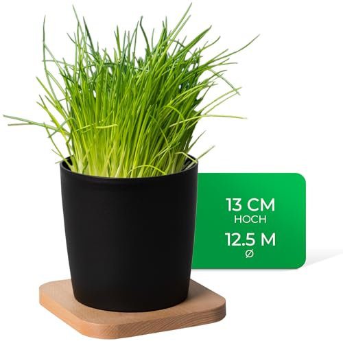 Novaliv Stilvolle Kräutertopf mit Holzunterlage für Jede Fensterbank, Für frische Küchenkräuter, Kräutergarten für die küche, Kräuterbeet Indoor, Zimmerpflanzen, Pflanzentopf, Pflanzschale