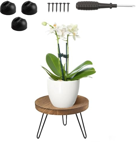 BUERPINKING Pflanzenständer Holz, Pflanzenhocker Holz Klein, Blumenbank für Innen Blumenständer Rund Hohe Belastung Blumenhocker mit 3 Rutschfeste Matte für Haus Garten Innen Außen Dekoration 25*17cm