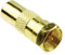 F Type Mâle Fiche vers RF Mâle TV Numérique Terrestre Antenne câble Adaptateur Onvertisseur Plaqués Or