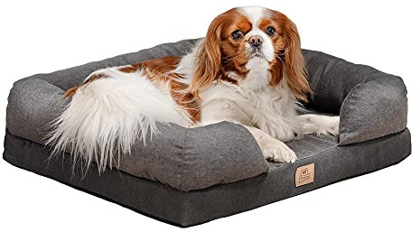 Ferplast Orthopädisches Bett für Hunde MEMOR-ONE M Memory Foam, 64 x 52 x 16.5 cm, Grau