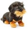 Uni-Toys - Rauhaardackel, sitzend (ohne Leine) - 22 cm (Höhe) - Plüsch-Hund, Dackel, Haustier - Plüschtier, Kuscheltier (Ohne Leine)