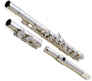 Flöte Anfänger Profi Querflöte Einsteiger 16 Versilberte C-Flöte Mit Geschlossenen Löchern (Color : Leather)