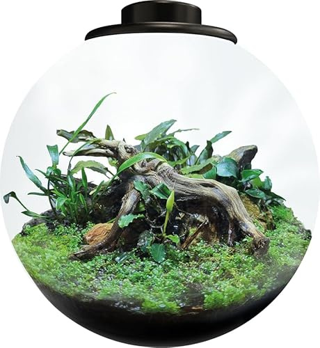 BioArt Bowl 225, Garden LED Nano, High Quality Glass, 5.1L, with 5W Adjustable LED Lighting, Timer and Fan, 225 x 220 mm (Black)