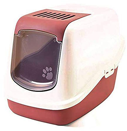 Serrano A0227 – 0 war Gatera Nestor, Rose