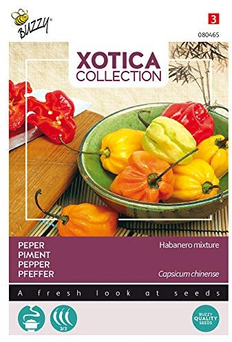 Buzzy Seeds 080465 Pfeffer Habanero mix (Chilisamen)