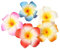10 Stück bunte Hawaii Plumeria Blumen Clips Hawaii Blume Haarspangen Strand Party Haarspangen künstliche tropische Blume Haarnadeln für Hochzeit Haarspangen Haarschmuck