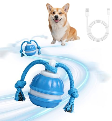 Swiftctrl Balle Interactive pour Chien et Jouet Interactif Électrique Indestructible, Balle pour Chien avec 3 Modes de Jeu, Télécommande, Sons d'oiseaux et Queue, pour Petits Chiens, Chiots et Chats