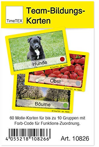 TimeTEX Teamkarten - 60-teilig im Etui - Bildungskarten für Grundschulen - Blumen, Hunde, Obst uvm. - Farb-Code für Gruppenfunktionen - Bildungsfördernd und farbenfroh