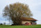 HANSEPUZZLE 17880 - Baum-Haus Puzzle 130 Teile | Gebäude Puzzle mit hochwertiger Puzzle Aufbewahrung: Kartonbox und wiederverschließbarem Beutel | Puzzle-Maße: 28,7 x 20 cm
