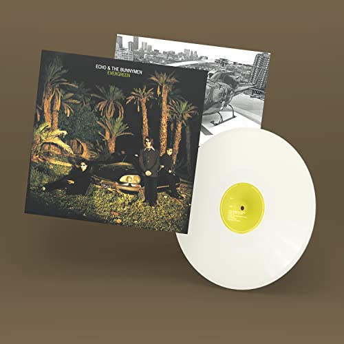 Evergreen (25 Year Anniversary Edition) White)