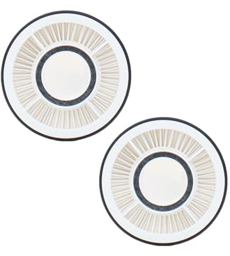 Genius INVICTUS X4 PRO Filter Set 2-tlg. Zubehör Staubsauger Kabellos mit Display, hygiene Filter, Akkusauger für Teppich, Tierhaare, Staub