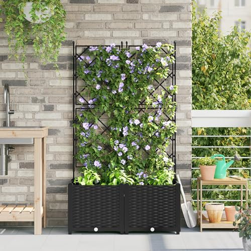 Lot de 2 jardinières avec treillis en plastique résistant aux UV - Design moderne - Pour plantes grimpantes, balcon, jardin, terrasse - Noir - 80 x 40 x 143 cm