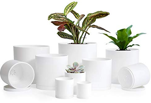 Small Garden Pots (6.5/6/5.5/5/4.5/4/3.5/3/2.5/2) Set of 10 Plastic Succulent Plants Pots with Drainage Hole and Saucer, Flower Succulents Planter Pots for Plants, White Color, 74-G-XS-1