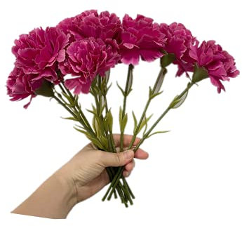 Rikyo 27,9 cm Blumensträuße mit 10 Stielen,für den Außenbereich,Mini-Nelken,Seidenblätter, künstliche Blumen für Immer Pflanzen,für Foto-Requisiten,Heim-Party und Hochzeitsdekoration(rosarot)