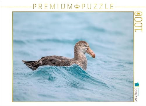 Puzzle · Sturmvogel bei Salisbury Plain | Ein Motiv aus dem Kalender Südgeorgien · 1000 Teile · Lege-Größe 64 × 48 cm · CALVENDO Puzzle