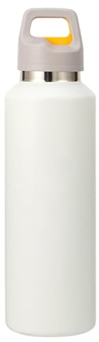 Ceprznvey Thermal Bottle, Insulated Tumbler, Large Capacity 600ml Drinking Mug for Cycling, Running, Mountaineering, and Driving Adventures, 10.35x2.95 inches, 326g, Stainless Steel, PP