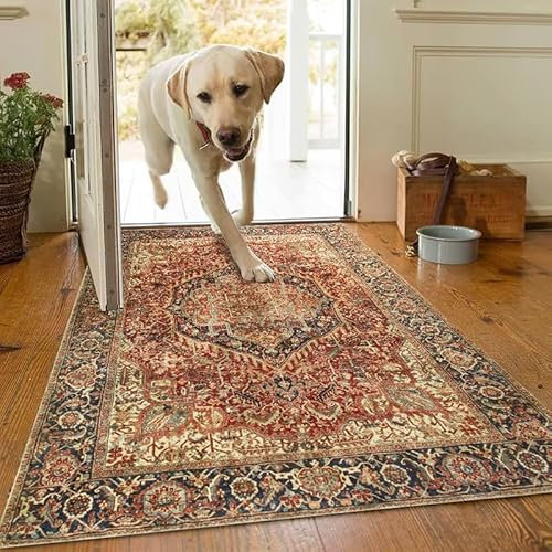 AMEHA Door Mat Indoor 80 x 150 cm Vintage Entrance Floor Mats Non Slip Washable Doormats Outside Dirt Trapper Heavy Duty Doormat Low Profile Super Soft Front Door Mat (Majestic)