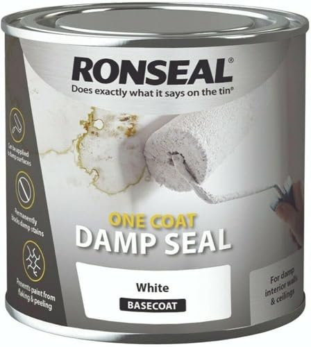 One Coat Damp Seal White 750ml – Damp Proof Paint & Mould Protection – Anti Mould Paint for Bathroom & Interior Walls – White Sealant to Cover Damp Stains