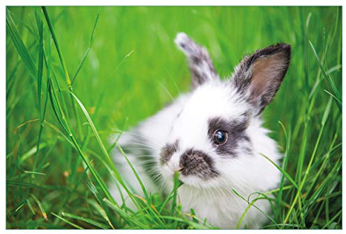 Wallario Küchenrückwand selbstklebend 90 x 60 cm, Motiv: Süßer Hase im grünen Gras | Spritzschutz abwischbar & pflegeleicht