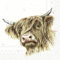 IHR 20 Servietten Motiv: Farmfriends Galloway 33x33cm