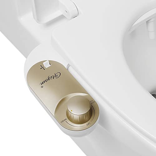 GLIGAM - Bidet, bidet per WC, non elettrico con ugello autopulente, controllo della pressione regolabile e controllo dell'angolo (champagne)