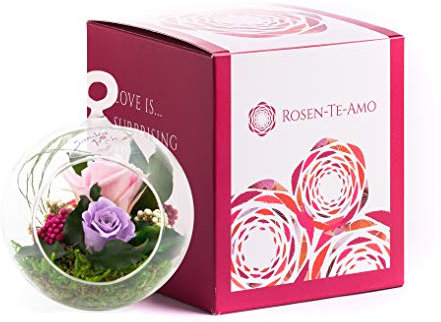 Rosen-Te-Amo |Infinity Blumen-Arrangement im hängenden Glas, handgefertigt, duftend, lila|Echte konservierte Rose Geburtstagsgeschenk für Frauen Mama Oma| Ewige Rosen zum Weihnachten, Valentinstag