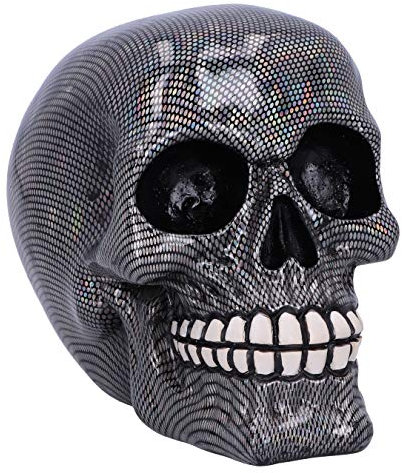 Nemesis Now Holografische Silberne Fischnetz-Totenkopf-Ornament, 16,5 cm