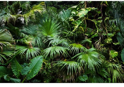 murando Fototapete selbstklebend 3D Effekt 490x280cm Foto Tapete Tapetenfolie Möbelfolie Wandverkleidung Wandtapete Motivtapeten Bildtapete Wohnzimmer 3d Effekt Modern tropische Blätter Monstera