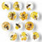 12Pcs Glass Strong Magnetic Refrigerator Magnet Fridge Sticker,Bee Fridge Magnets Decoration for Crafts,Strong Fridge Magnets for Kitchen, School,Office Whiteboard, Cabinet and Dishwasher