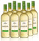 Freixenet Mederaño Blanco, Spanischer Weißwein (9x1,0l) Set - Sonder-Edition - Spanish White Wine, Wein, halbtrocken, ideal zu Sommersalaten und leichten Speisen