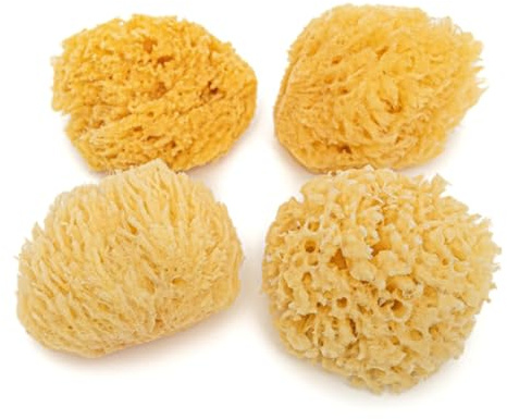 Éponges naturelles de l'océan | Éponges de mer douces et jaunes pour le bain des nouveau-nés de 0 à 8 mois | Nettoyage du visage, pour loisirs créatifs – Taille S (6,5–8,5 cm) – Lot de 4 pièces