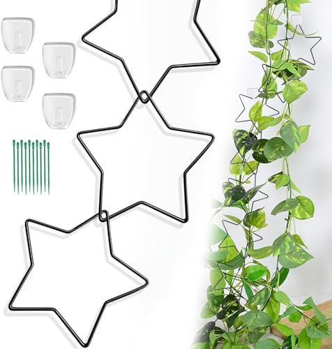 Stern Kettenspalier für Kletterpflanzen, 20 Stück Pflanzenrankenstütze Rankhilfe Stern, Rankgitter für Kletterpflanzen mit 4 Haken und 10 Bändern, Monstera Rankhilfe Wand Pflanzenstütze für Efeu