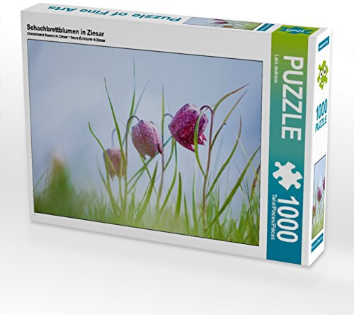 CALVENDO Puzzle Schachbrettblumen in Ziesar | 1000 Teile Lege-Größe 64 x 48 cm Foto-Puzzle für glückliche Stunden
