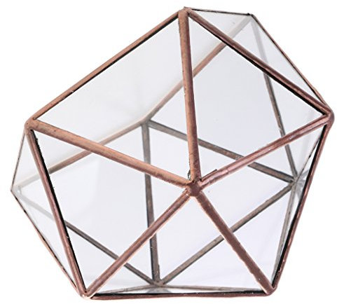 D DOLITY Klare Geometrische Glas Terrarium Schmuckschatulle Gewächshaus Pflanzgefäß Kerzenhalter - 12 x 12 x 12cm Kupfer